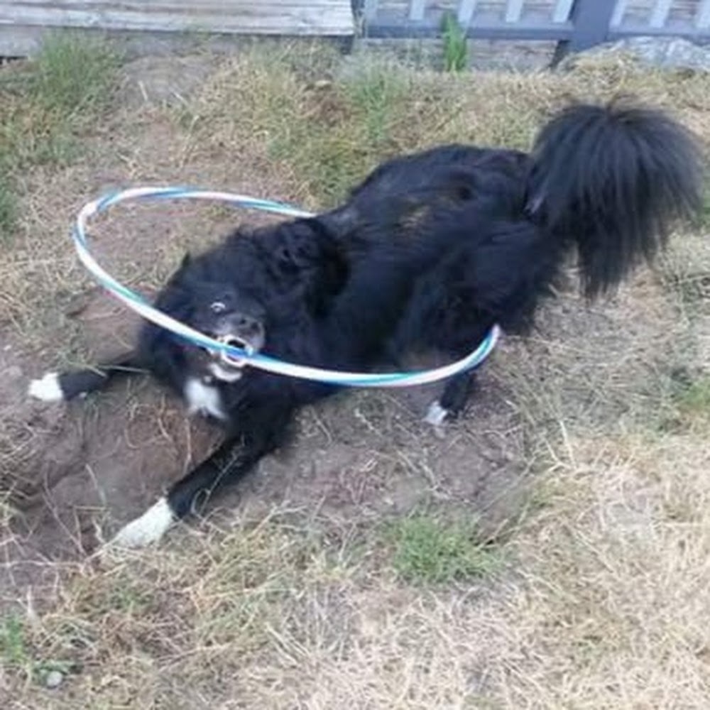 Meet your Posher, Caitlin